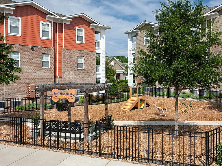 Dog Park