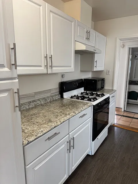 2 bed, 925 sqft, $3,600 — Photo 4