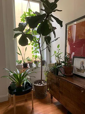 Rented by Pinn Realty | media 44