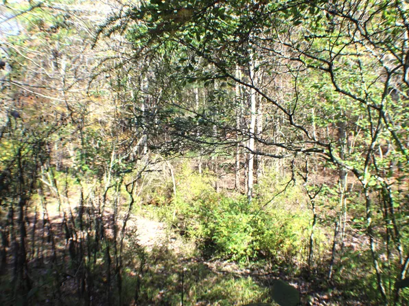 Murphy Rd, Bartow, WV 24920