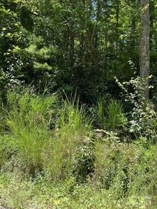 0 Pleasant Grove Church Rd #3A, Hendersonville, NC, 28792