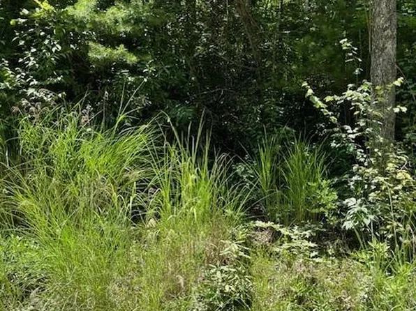 0 Pleasant Grove Church Rd #3A, Hendersonville, NC 28792