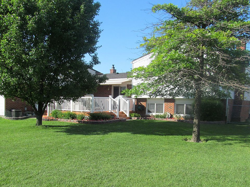Rear View