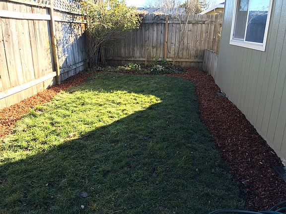 Back yard