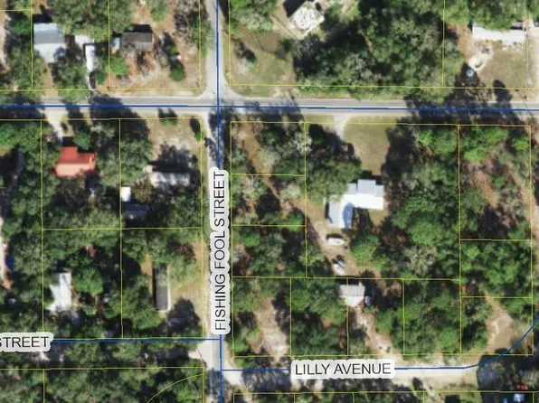 Xx Lilly Ave, Panacea, FL 32346