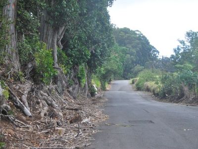 43-1990 Pohakea Mauka Rd Lot 6, Paauilo, HI, 96776
