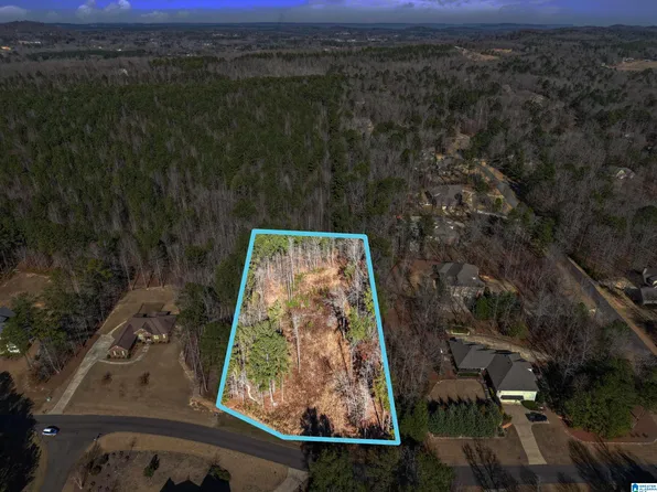 100 Grace Way Lot 1, Odenville, AL 35120