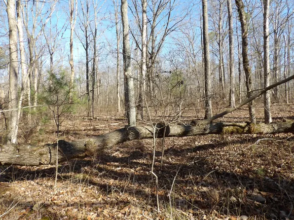 0 Fern Hill Rd Unit 56-57, Pikeville, TN 37367