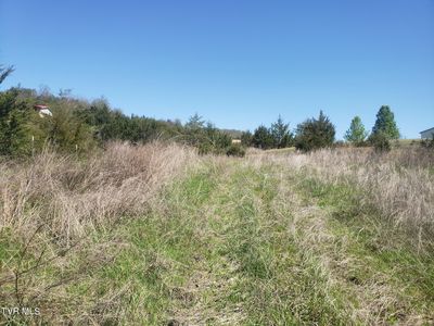 LOT 32 Guthries Greene Rd, Bulls Gap, TN, 37711