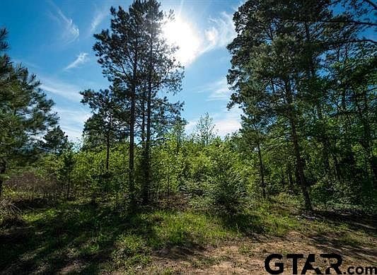 1st image of 11727 Thousand Pines Cir