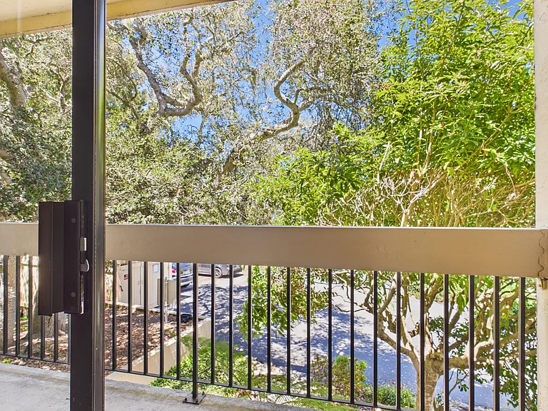 3102 Golden Oaks Ln — Photo 14