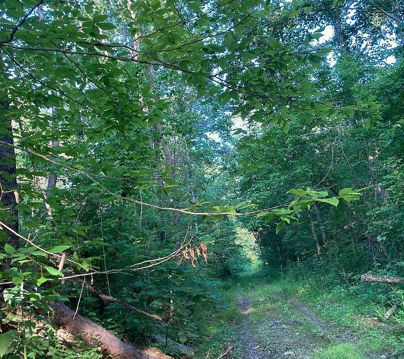 1st image of 0 Lick Run Rd