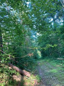 0 Lick Run Rd, Greenup, KY, 41144