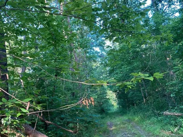 0 Lick Run Rd, Greenup, KY 41144