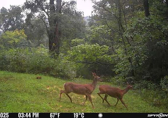 102nd image of this home