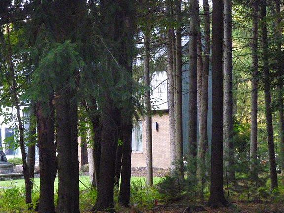 2nd image of 55 E Juniper Ln