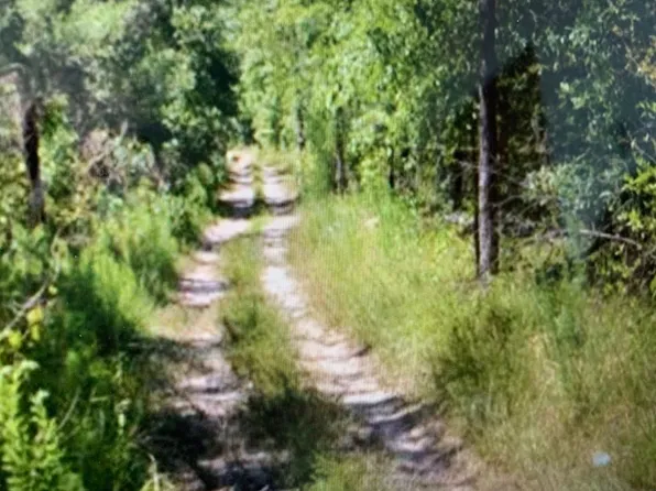 Morris Callaway Rd, Appling, GA 30802