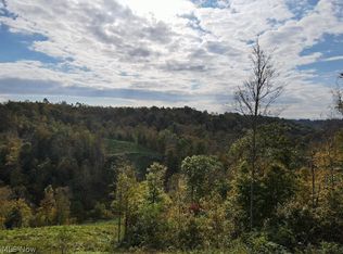 Headley Ridge Rd, Clarington, OH 43915