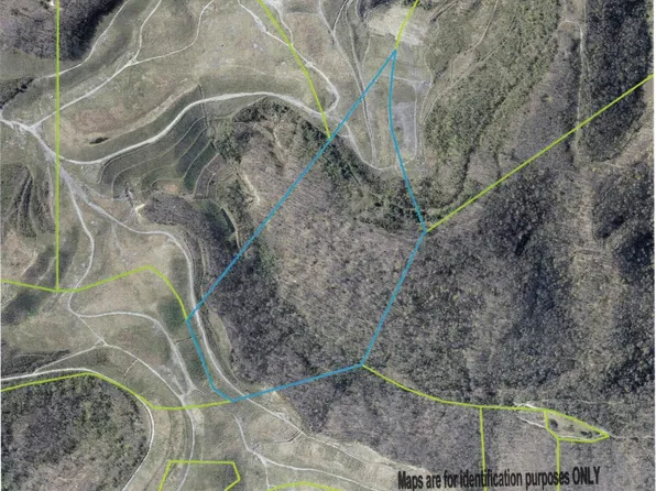 0 Dryfork Rd, Helton, KY 40840