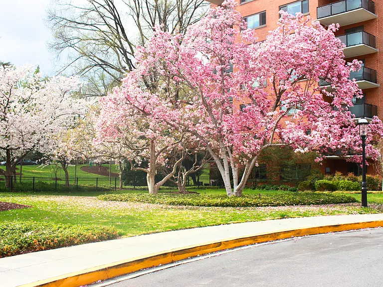 Building Walk-up to Entry