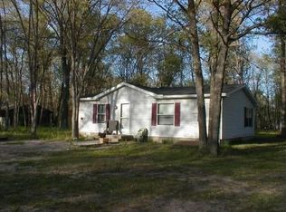 11666 N Bingham Ave, Bitely, MI 49309