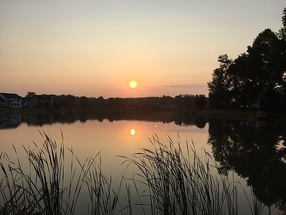 Back yard reflection 