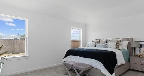 4129 Waving Willow Way — Photo 4