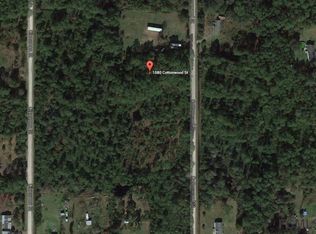 1080 Cottonwood St, Bunnell, FL 32110