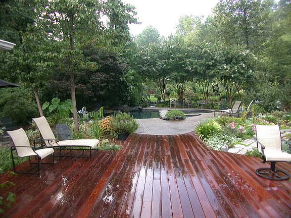 Backyard and pool