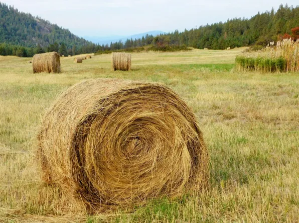 3140NYA Addy Gifford Rd, Gifford, WA 99131