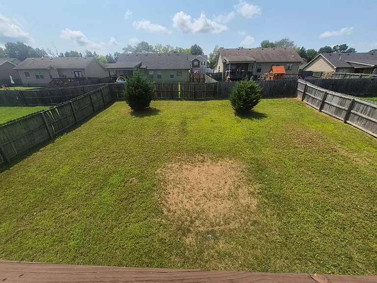 1351 Freedom Dr — Photo 30