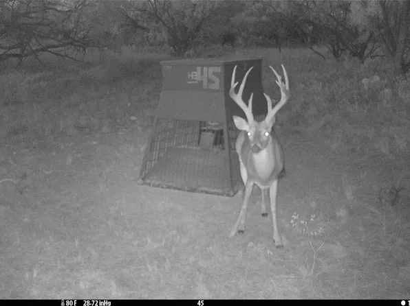 County Road 291, Moran, TX 76464