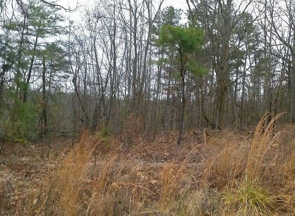2nd image of 0 Cork Ct