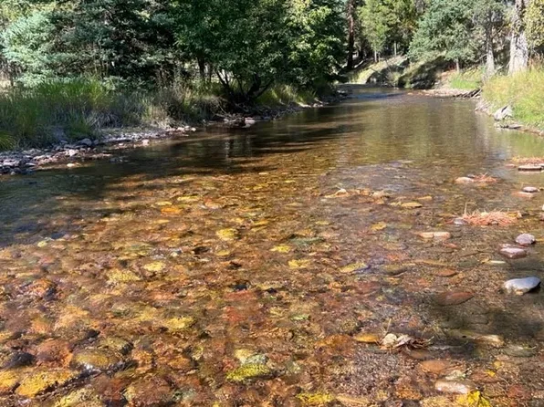 Nhn Morrell Crk, Seeley Lake, MT 59868