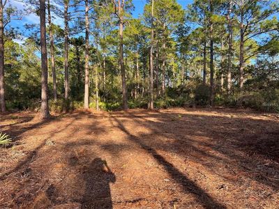 Chinaberry Way LOT 8, Eustis, FL, 32736