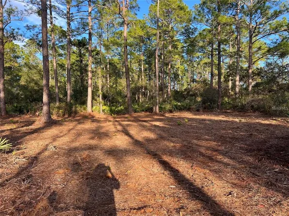 Chinaberry Way Lot 8, Eustis, FL 32736