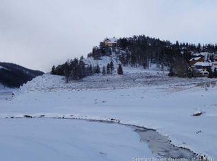 0 Cr 81, Dillon, CO 80435