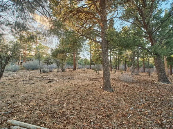 660 Cedar Glen Dr, Big Bear City, CA 92314