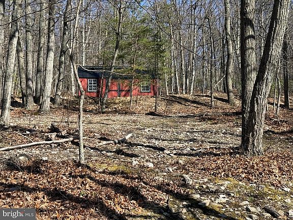 5th image of Advent Dr