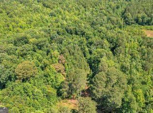 0 Rainey Lake Rd, Buchanan, GA 30113