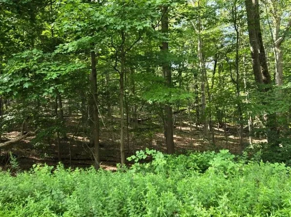 54 Northwood Rd, Hopatcong Boro, NJ 07849