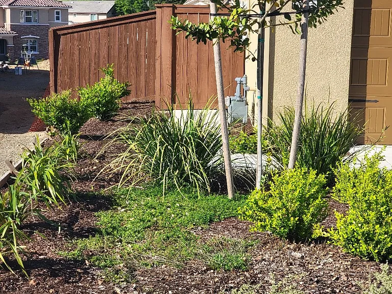 3035 Salt Wash Way — Photo 3