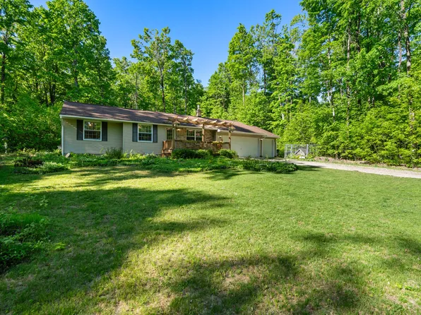 9707 Rogers Rd, Alanson, MI 49706