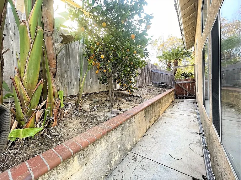 9786 Avenida Ricardo — Photo 15