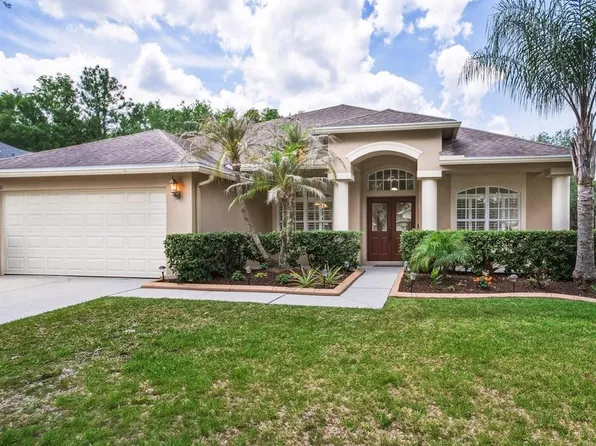 18220 Stillwell Ln, Tampa, FL 33647