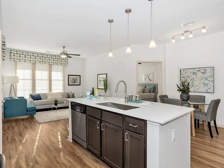 Kitchen and Living Room