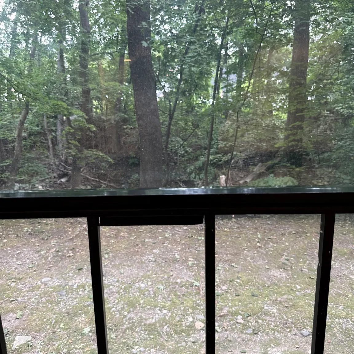 1 bed, 1.5 bath, 596 sqft, $1,950 — Photo 3