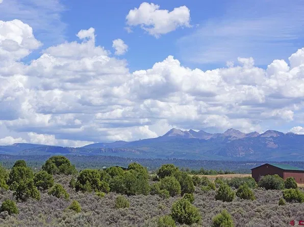 TBD - Lot 1 Hwy 184, Mancos, CO 81328