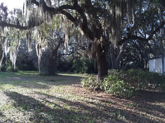 1st image of 39 Frederica Oaks Ln