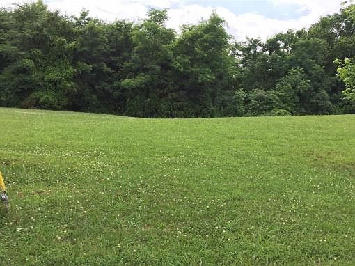 2nd image of 215 Butler Ridge Rd
